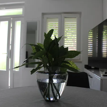 Cvita Διαμέρισμα *